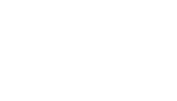 Logo Meucci